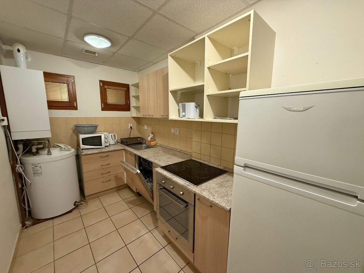 Prenájom - Apartmánový dom - 12