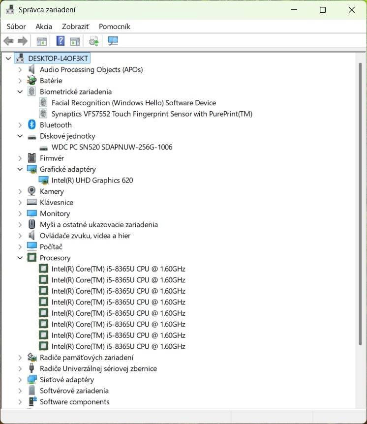 HP Elitebook /Intel Core i5-8365U/8GB RAM/FHD/256GB SSD - 12