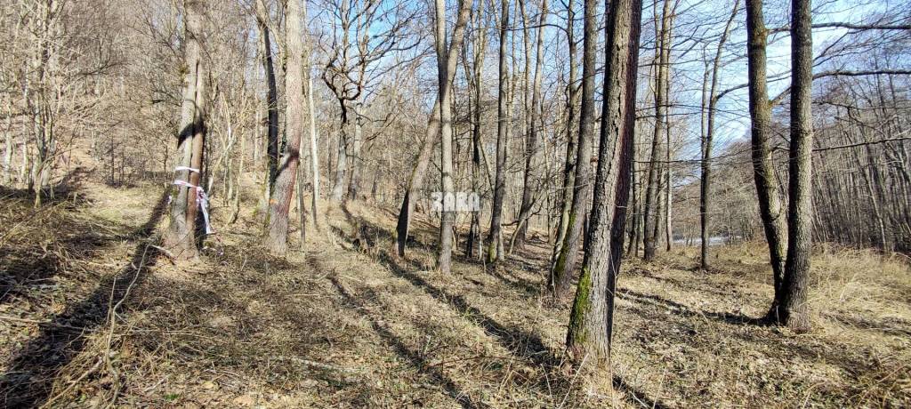 ŠUGOV-ŠUGOVSKÁ DOLINA, INVESTIČNÝ veľkorysý pozemok 3716 m2. - 12