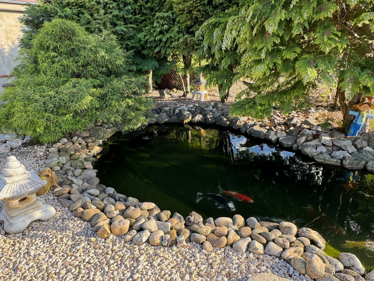 IBA U NÁS Ponúkame NA PREDAJ rodinný dom v Kolárove - 12