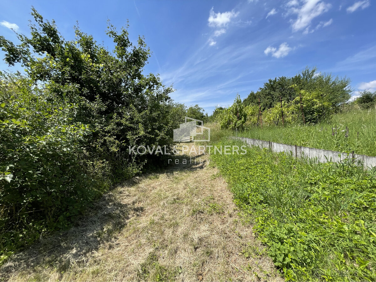 Záhrada s chatkou v Nitre, Dražovce - 12