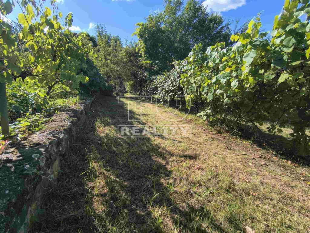 Na predaj CHATA v obci Dohňany - 12