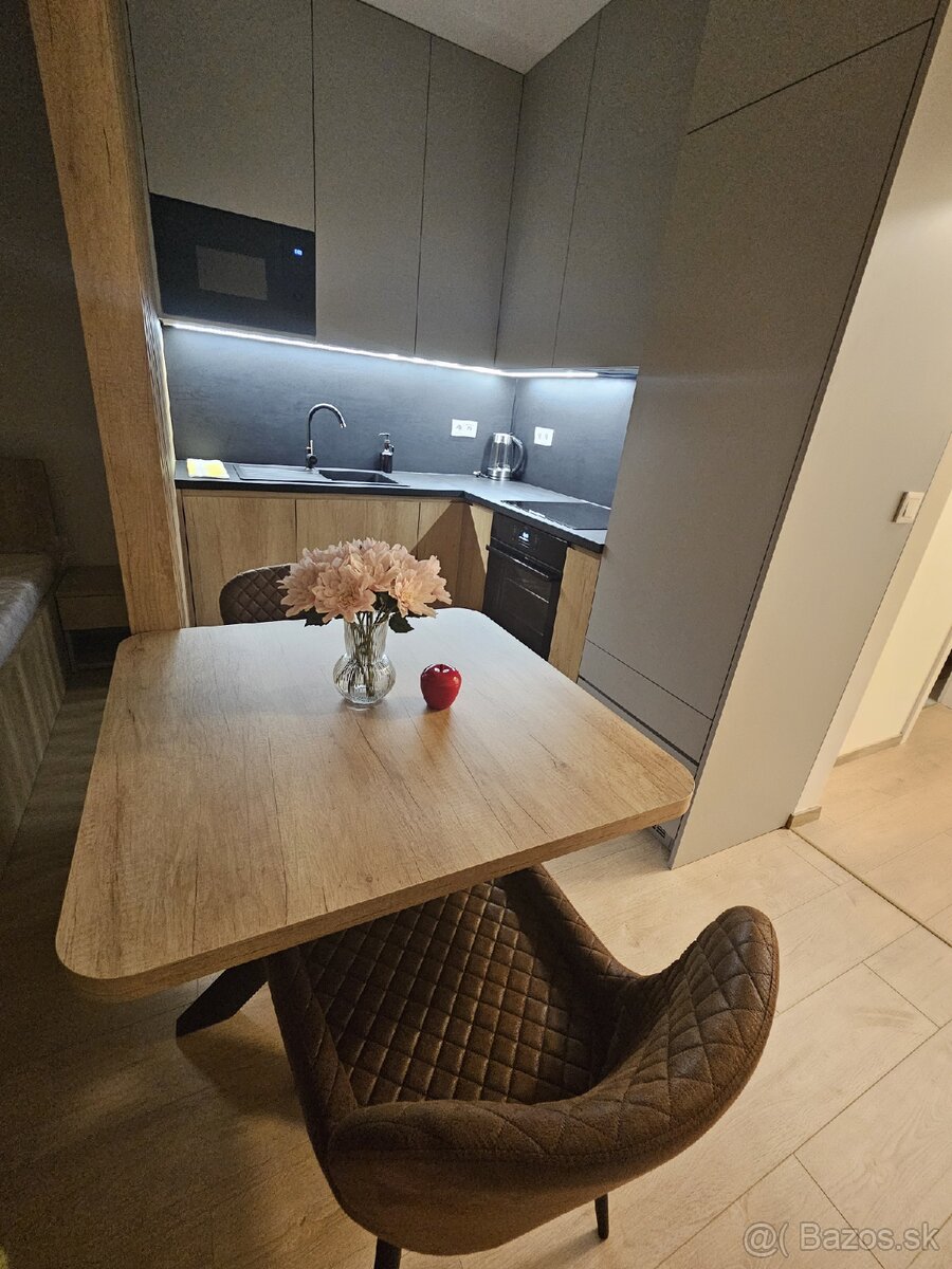 Prenájom 1- izbový byt . - 12