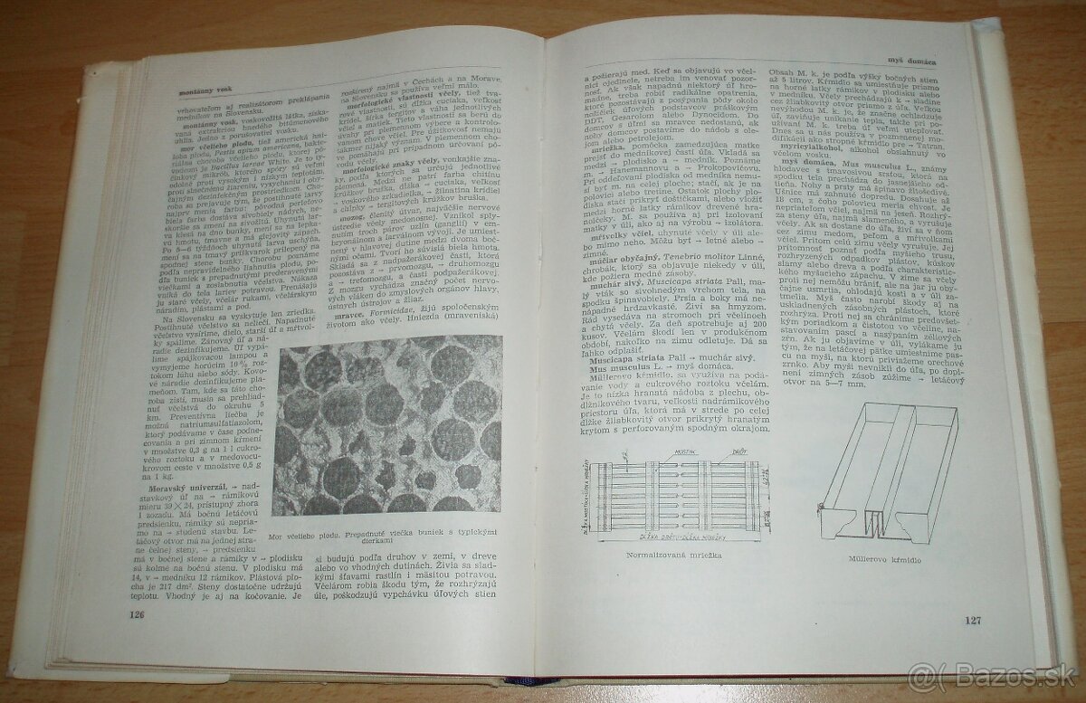 Včelársky náučný slovník - 12