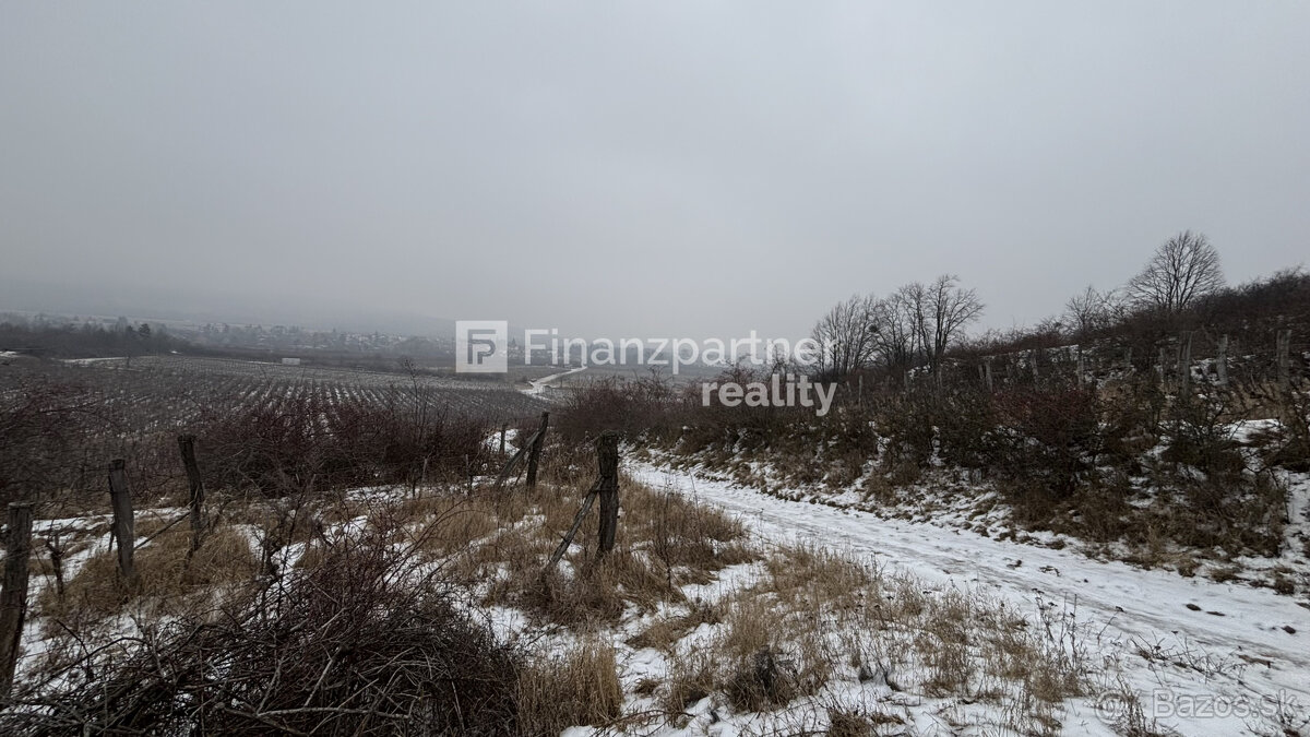 REZERVOVANÉ - Vinohrad 1862 m², v meste Pezinok + 3D - 12