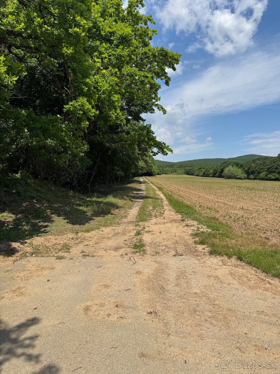 Hatfa - bývale kúpele v obci Viničky - 12