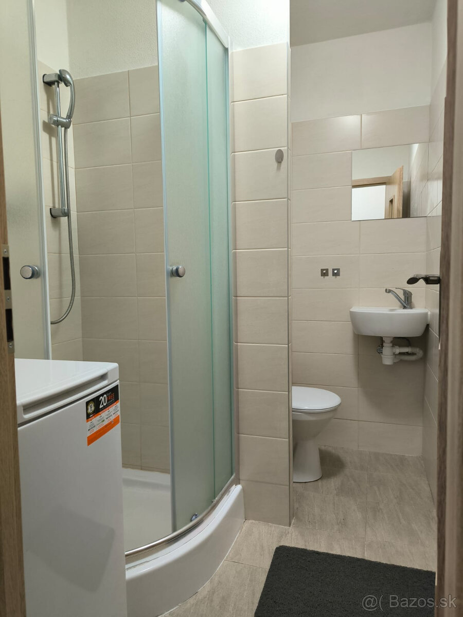 SPEKTRUM REALITY- Na PRENÁJOM komplet rekonštruovaný 1-izbov - 12