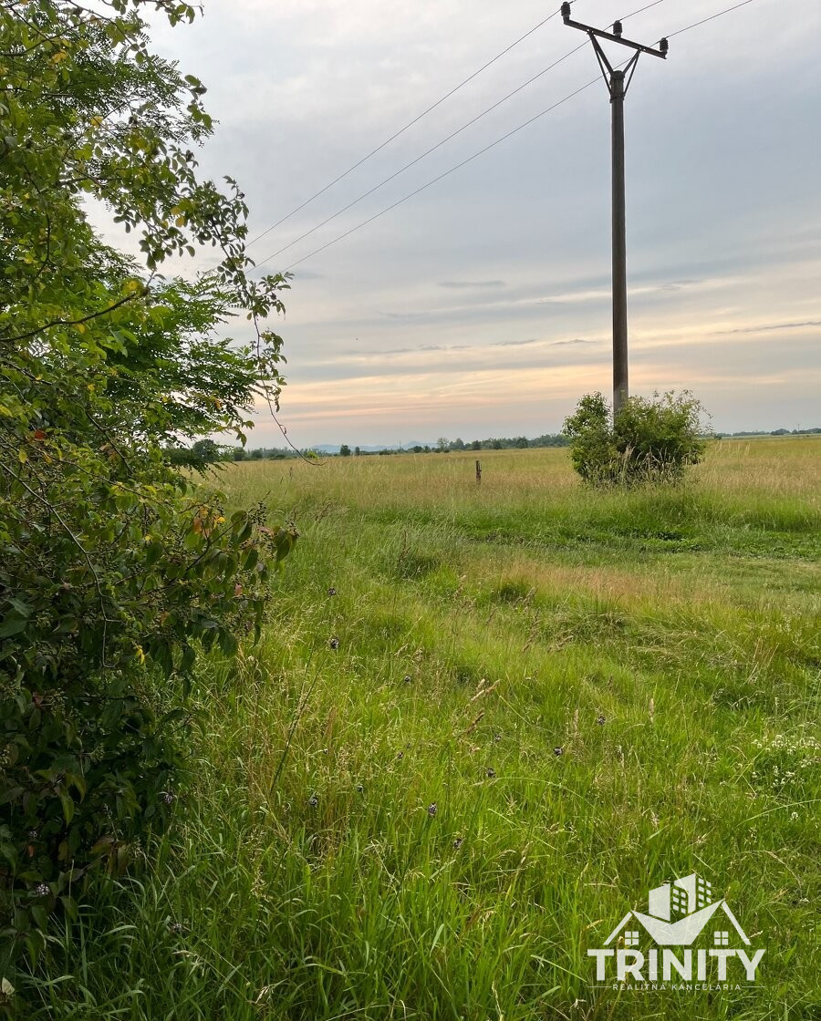 Na predaj pozemky s chatkou medzi mestom Šurany a Palárikovo - 12