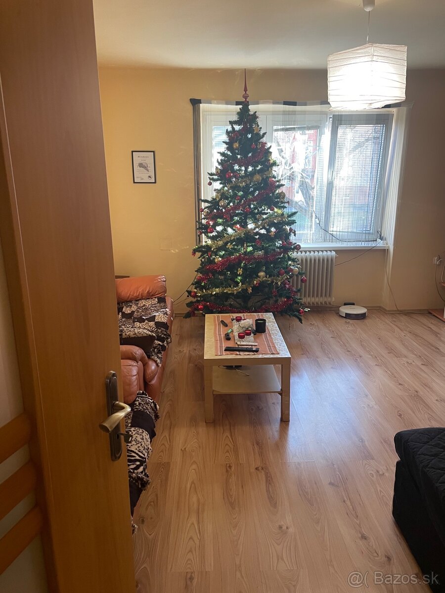 Dvojizbový byt - 12