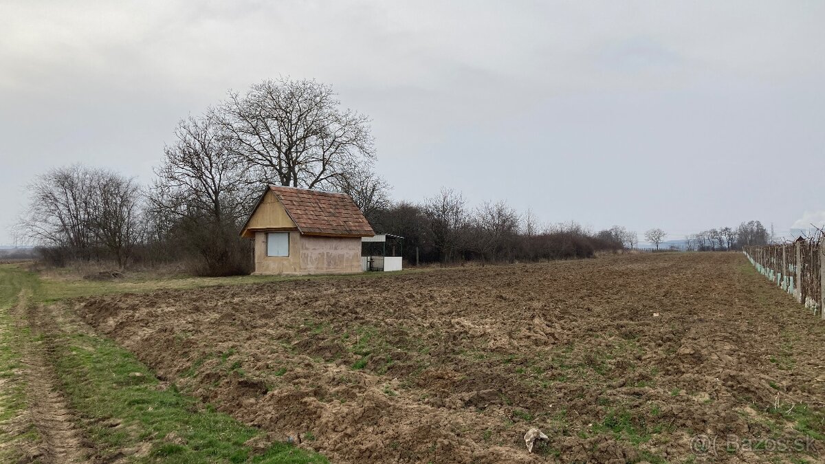 Predám pozemok vo vinicnej časti - 12