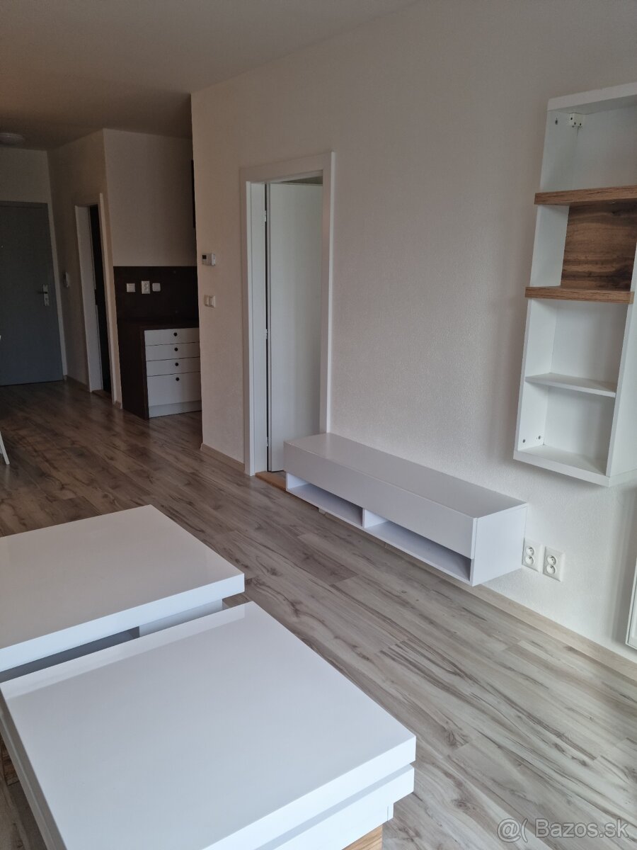 Prenajmem 2 izbový byt v centre LM - 12