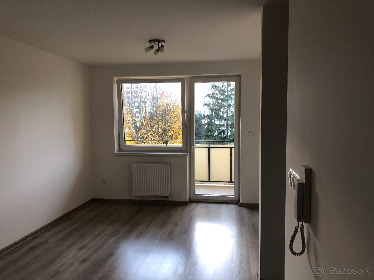 Prenájom 1izbovy byt - 12