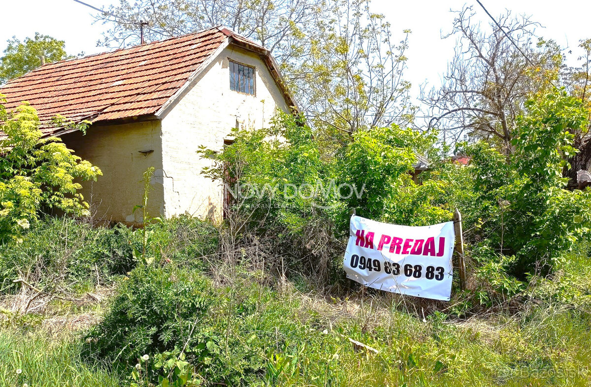 NA PREDAJ - vinice, obec Strekov, výmera 4659 m2 - 12