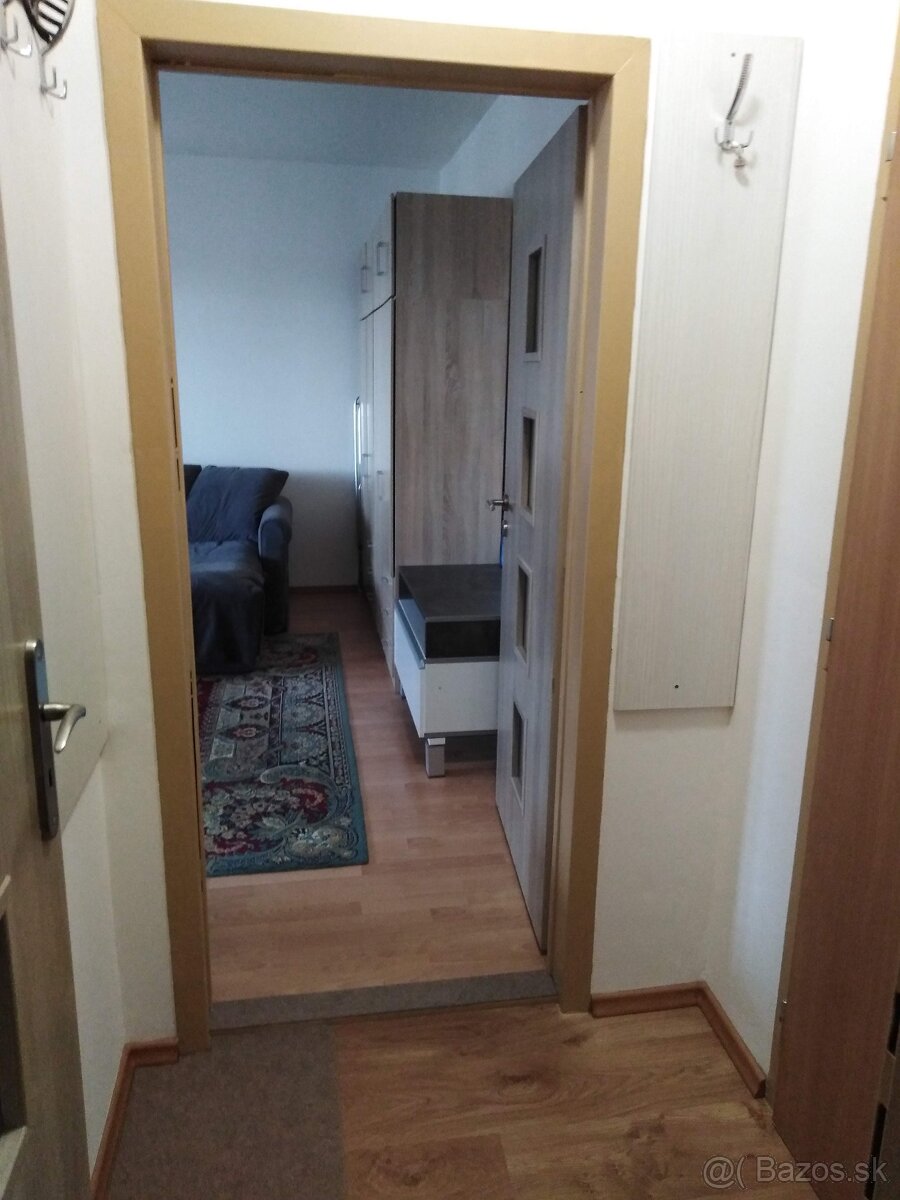 Prenájom 1 izbový byt - 12