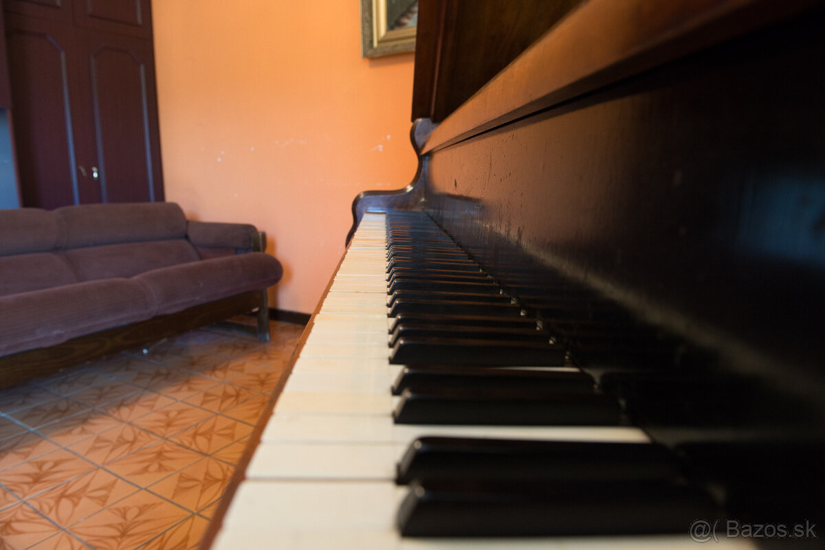 ALOIS KERN PIANO FORTE - 12