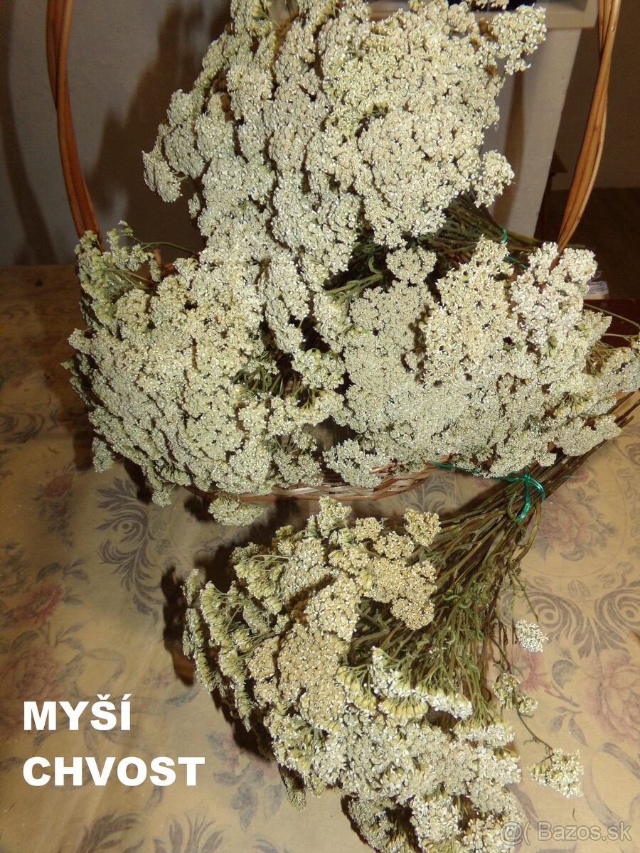 SUŠENÉ KVETY NA ĎALŠIU TVORBU - 12