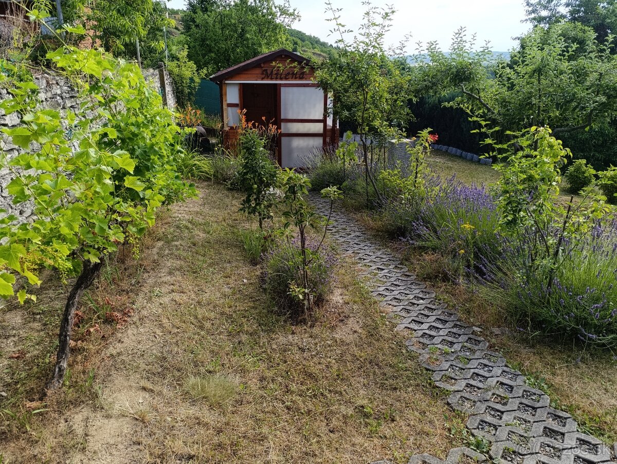Predaj záhrady v Holíči - Pod Zadnou horou - 12