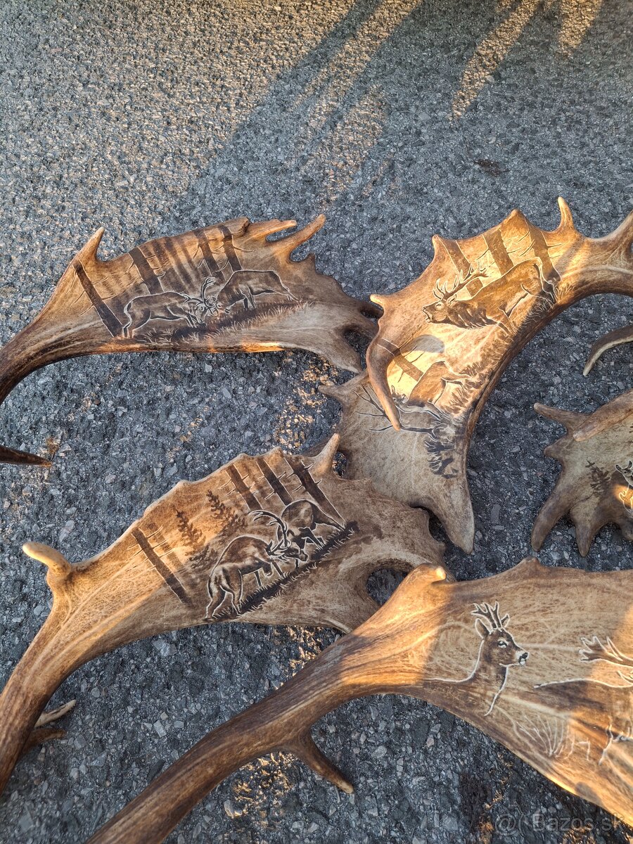 Parohy,zhody,trofeje - 12