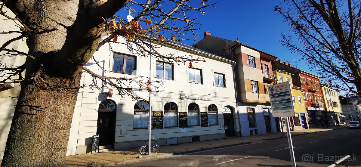 JEDINEČNÁ INVESTÍCIA "Hubacsek" Teplická /pozemok 1302 m2/ - 12