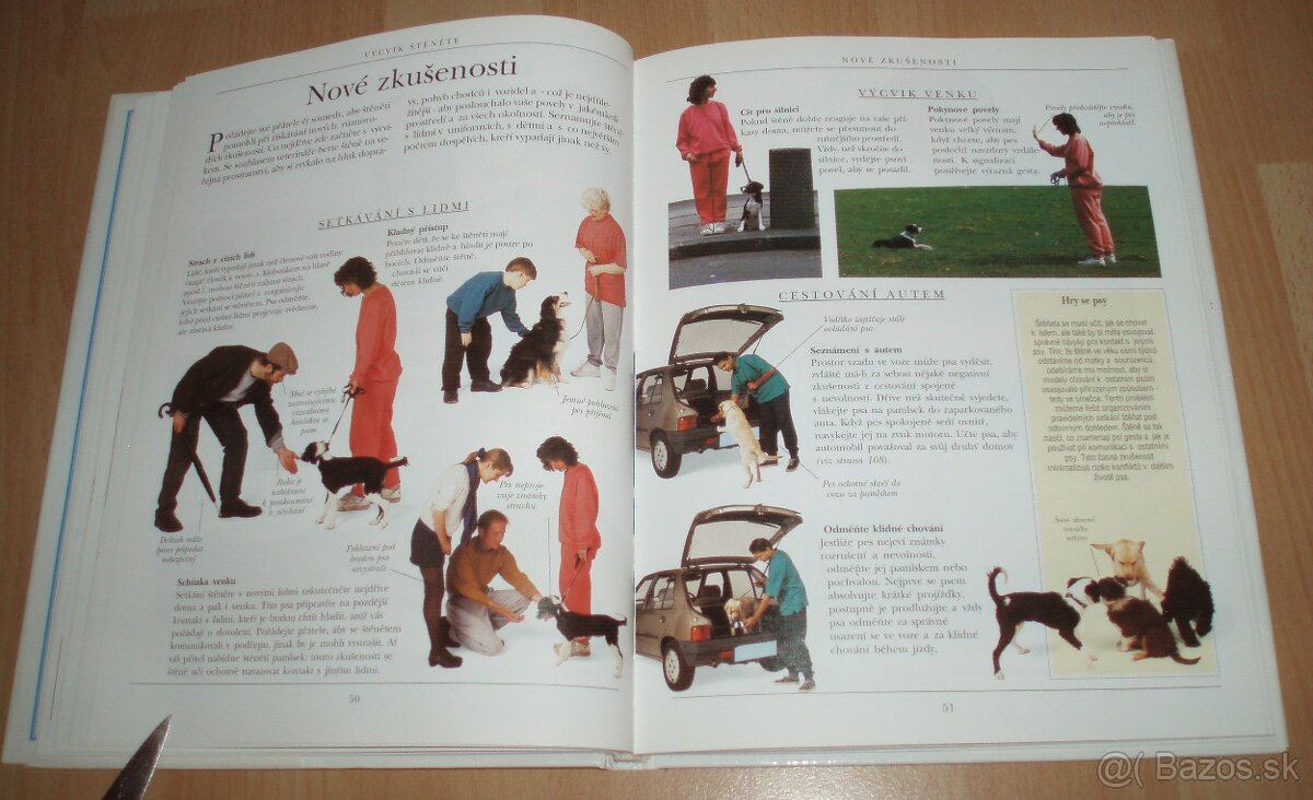 Výchova a výcvik psa - 12