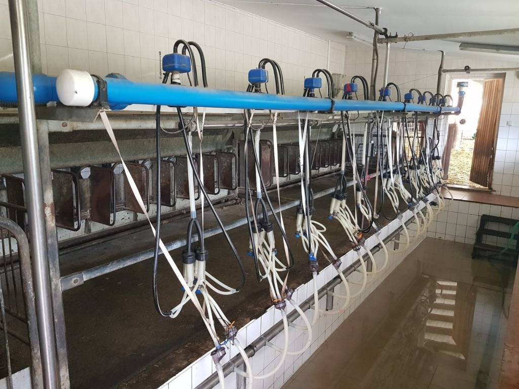 ZNÍŽENÁ CENA - SALAŠ agroturistické zariadenie - Klátová No - 12