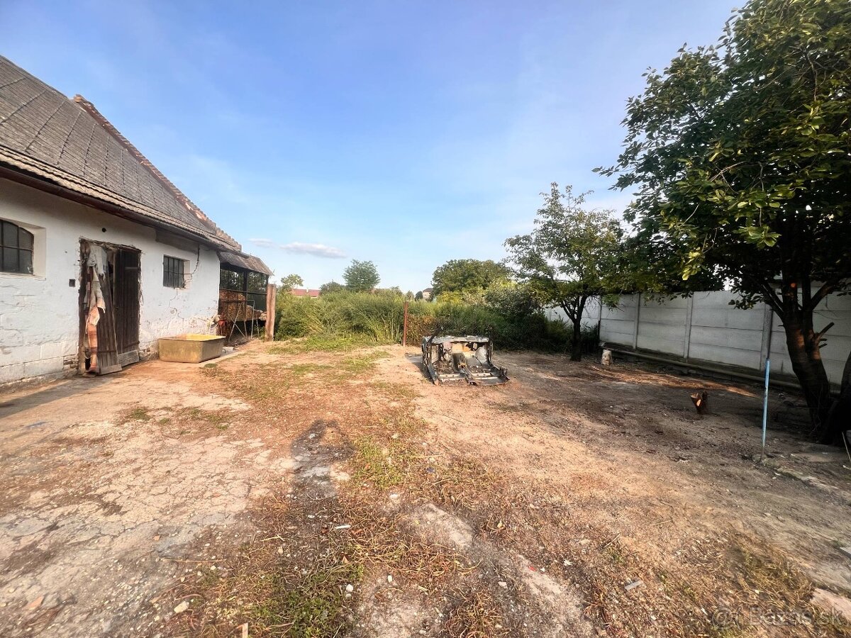 Extrémne upratovanie & Úprava dvorov - 12