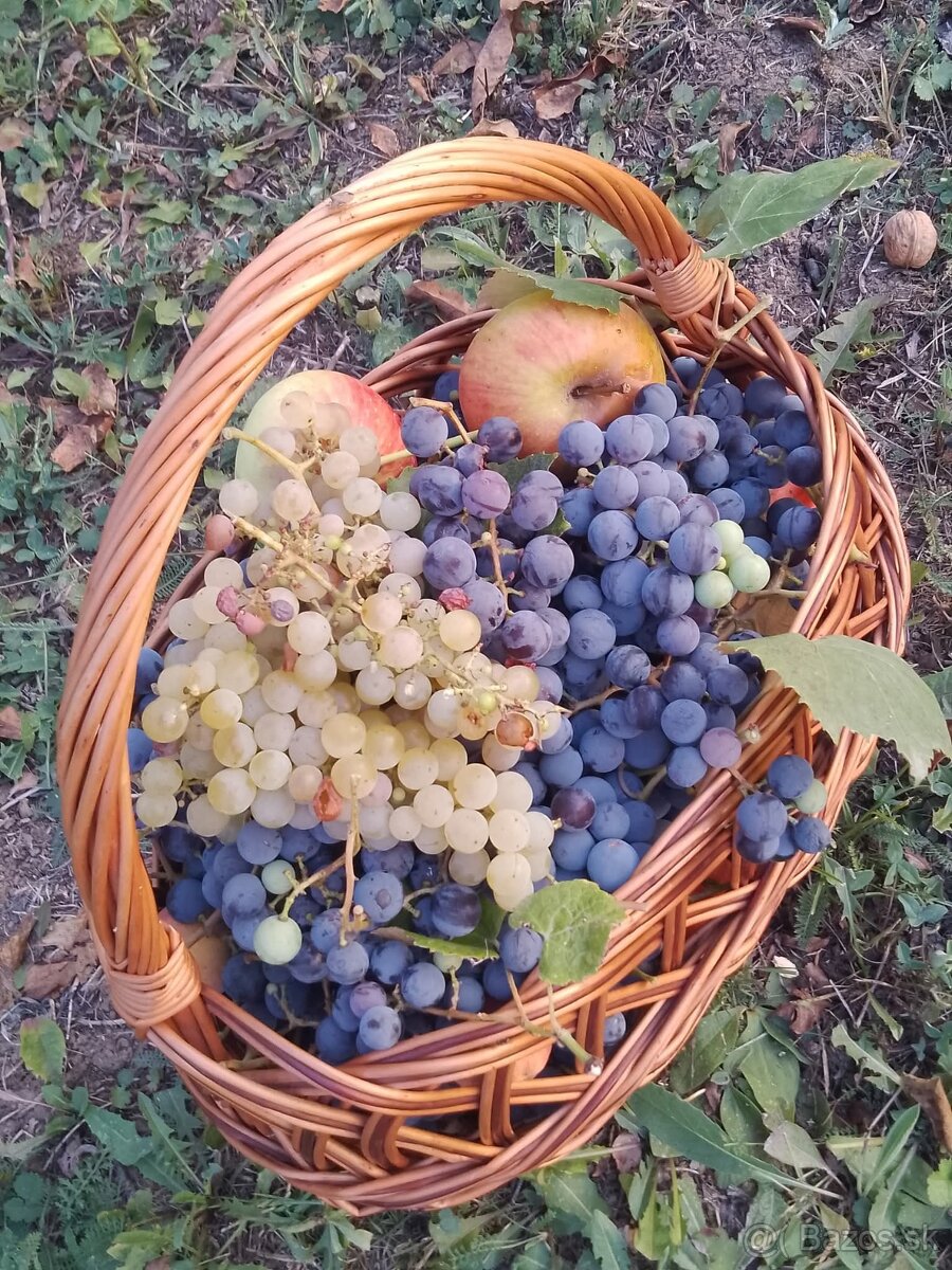 Dom , chalupa na predaj za dobrú cenu - 12