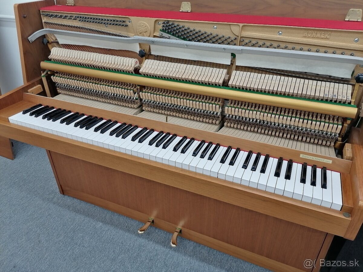 Hohner Piano pre viacero generácie - 12