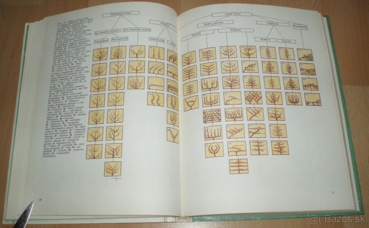 Tvarovanie a rez ovocných drevín - 12