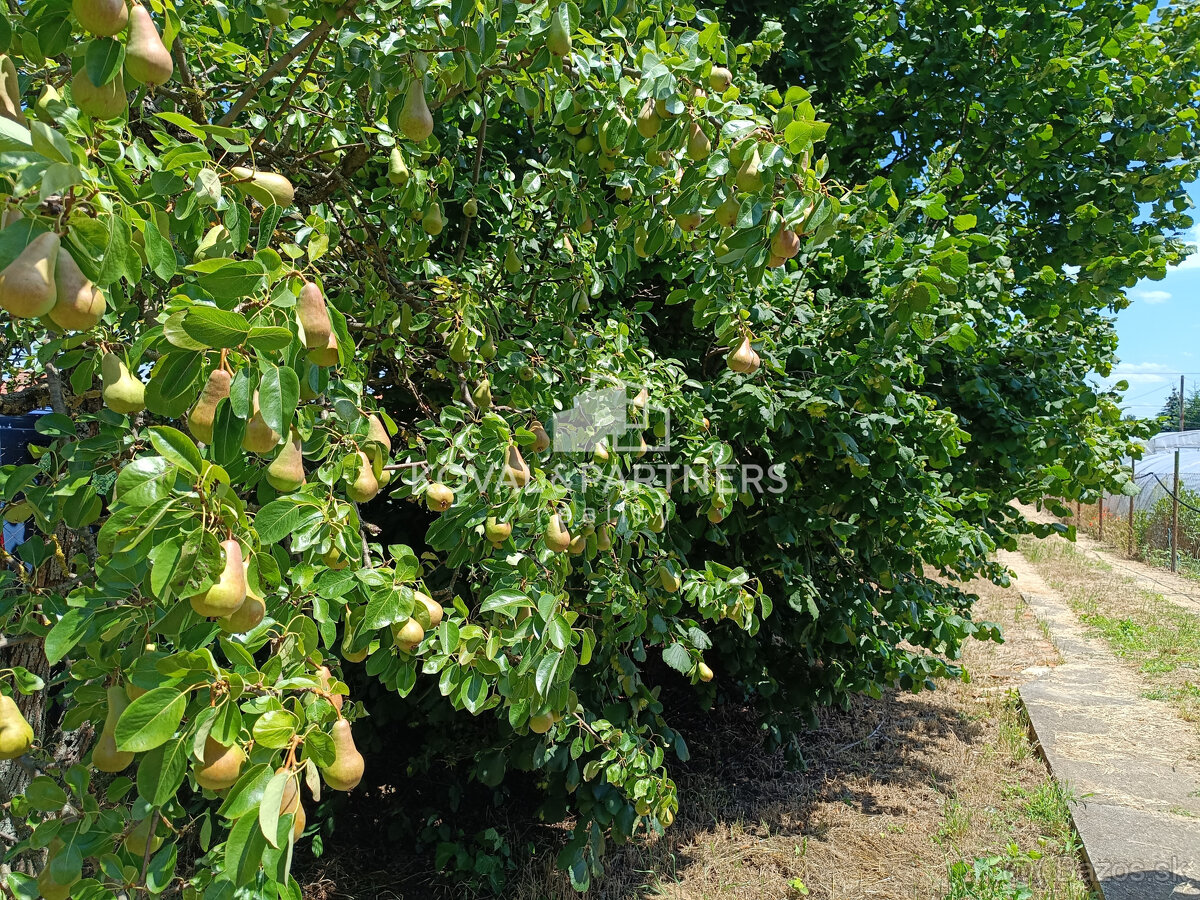 Rodinný dom s veľkým pozemkom - Veľký Kýr - 12