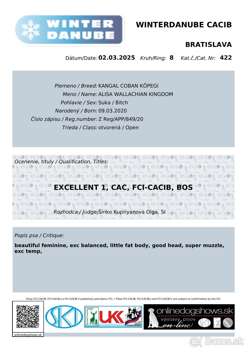 Kangal šteňatá, šteniatka k už odberu - 12