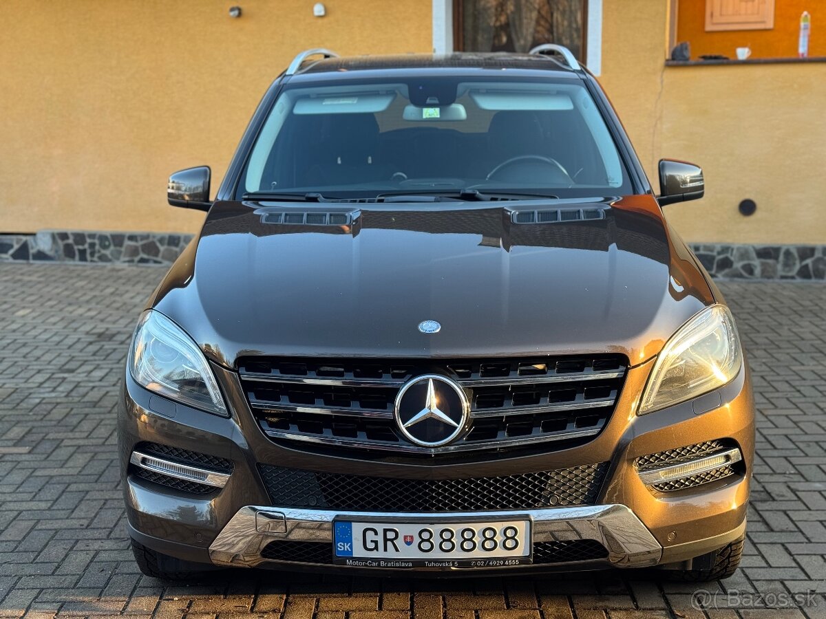 Mercedes-Benz ML350 - 12