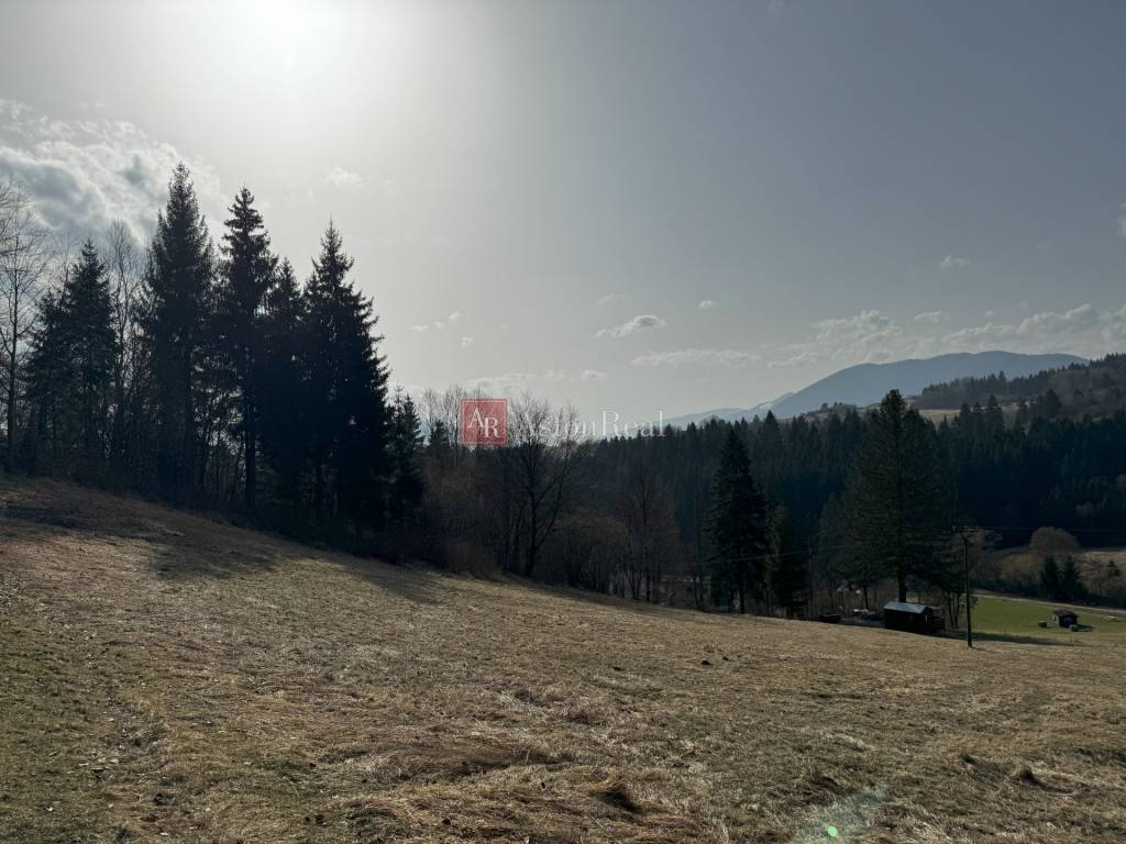 Na predaj rekreačný pozemok v časti BEŇOVA LEHOTA, Dolný Kub - 12