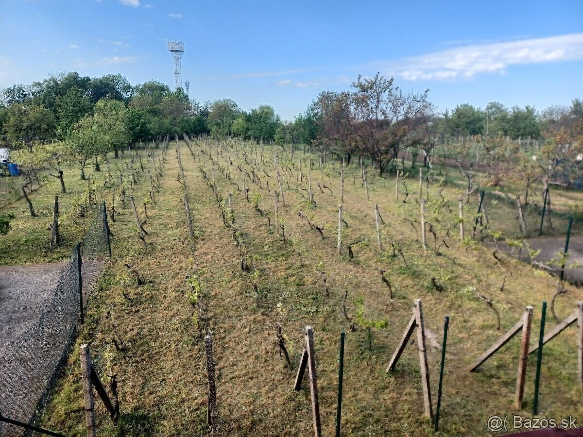 Znížená cena Na predaj poschodová chata, Trávnica - 12