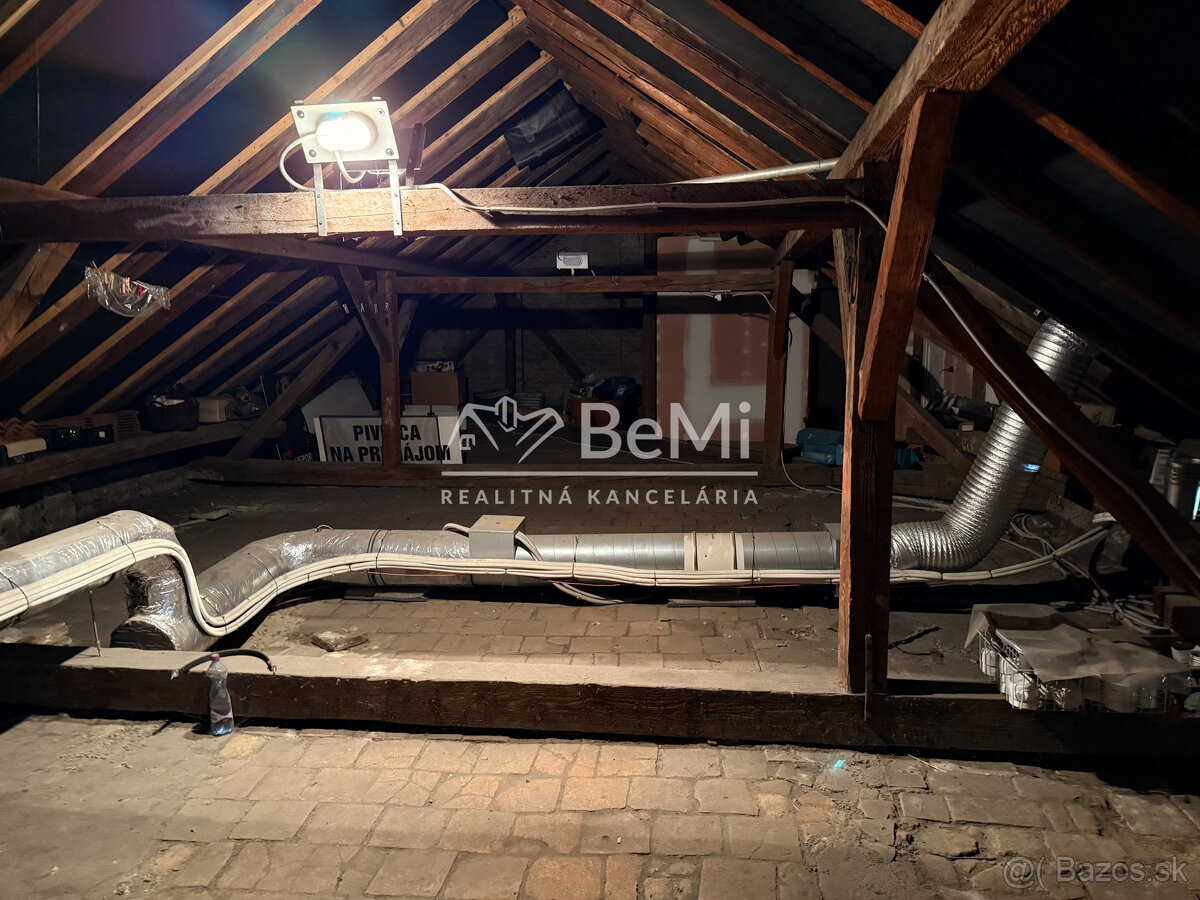 INVESTIČNÁ PRÍLEŽITOSŤ – CENTRUM TRENČÍNA 020-15-MIKUa - 12