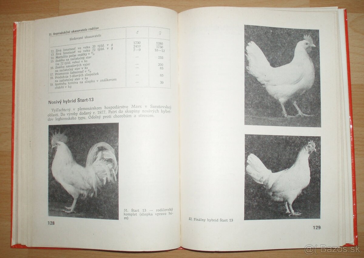 Najvýkonnejšie plemená a typy hydiny - 12