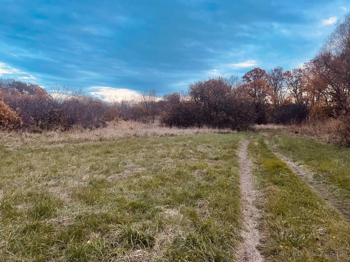 Pozemok - Lúka, Malé Leváre, 26 385 m² - 12