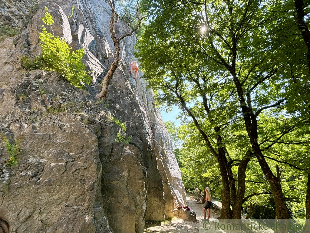 Záhrada v Stupave, s potenciálom na rekreáciu aj výstavbu - 12