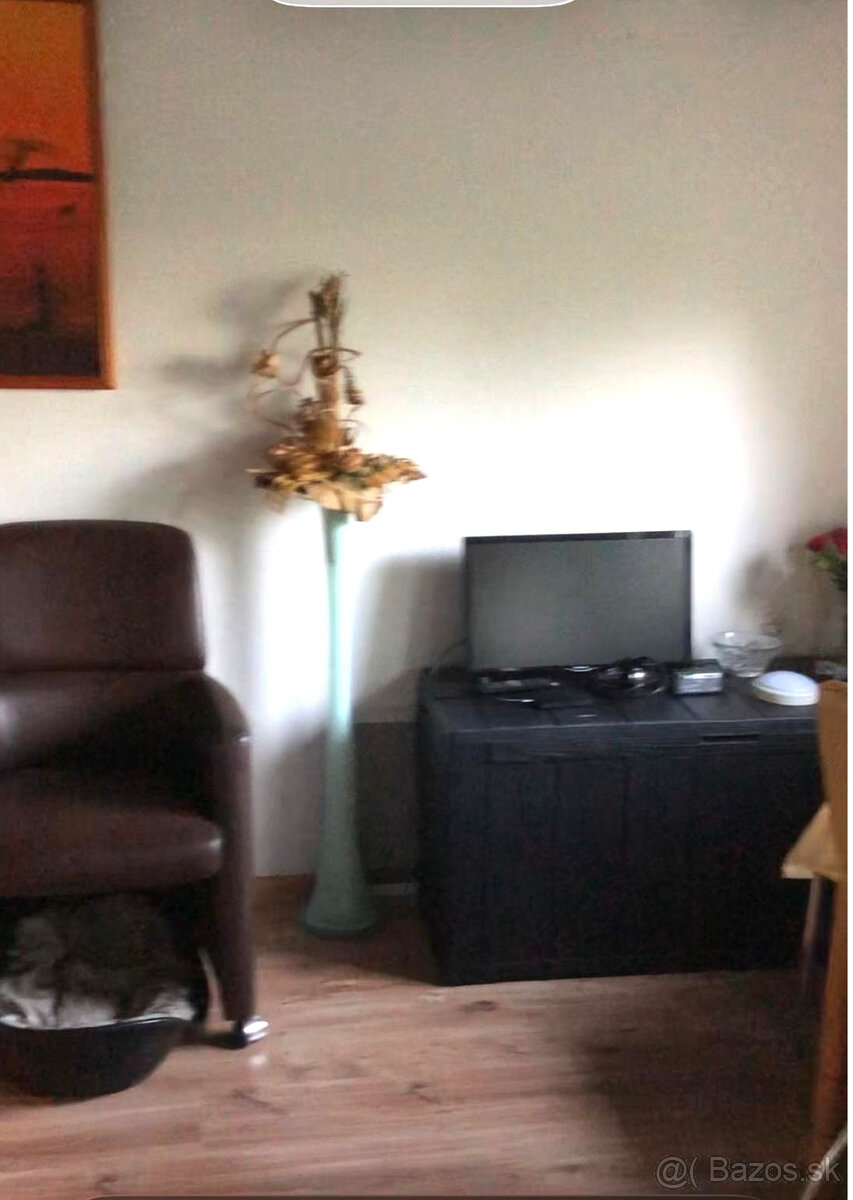 PREDAJ ZÁHRADNEJ CHATY TEPLIČKA NAD VÁHOM - 12