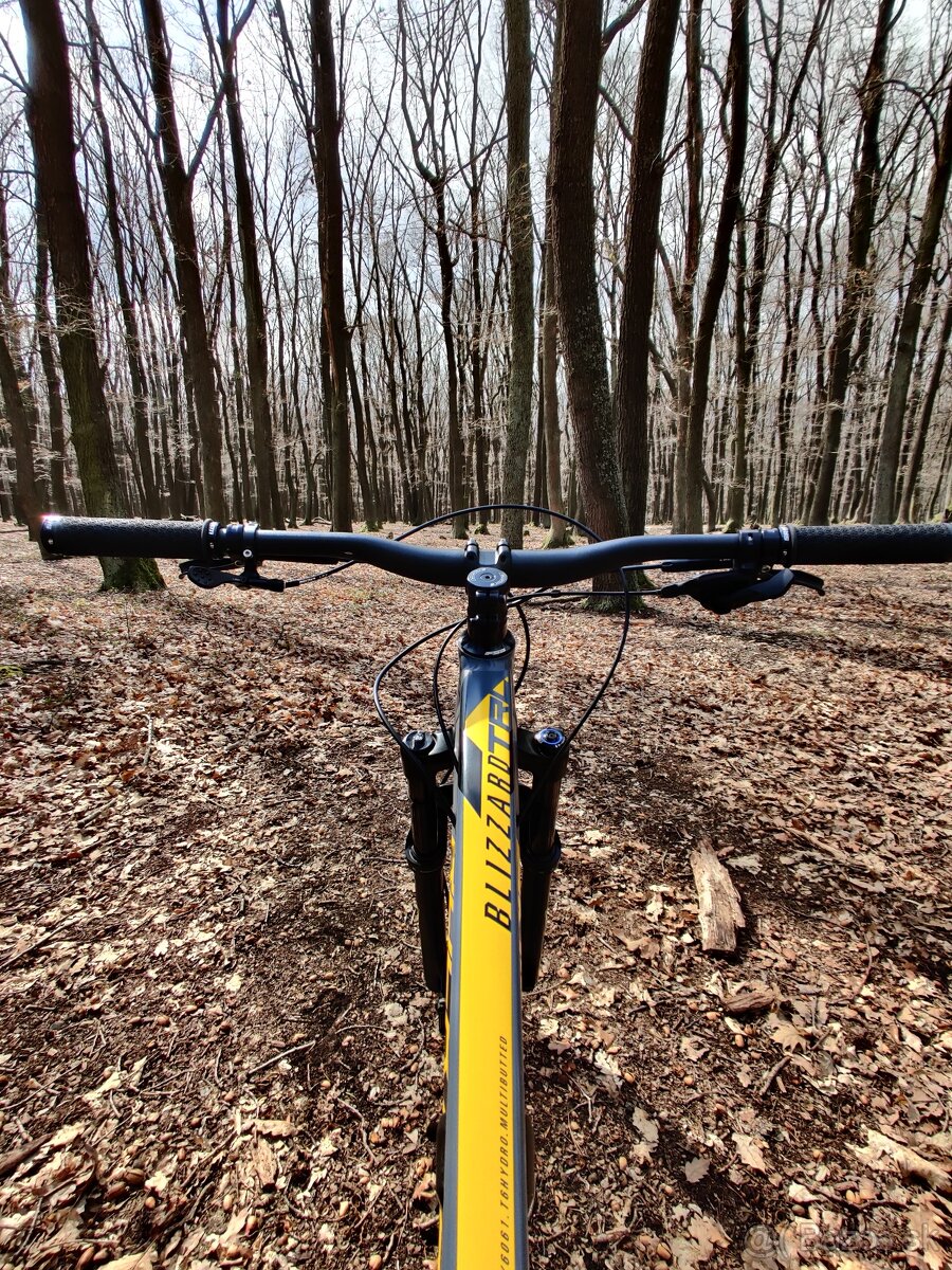 Rock Machine Blizzard TRL 30-29 - 12