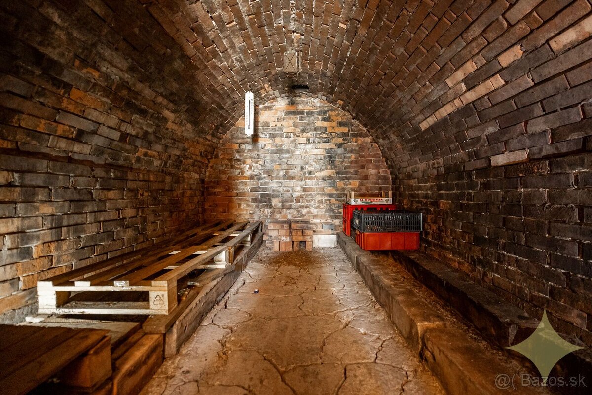 Viničný dom s ovocným sadom "Danka" - 12