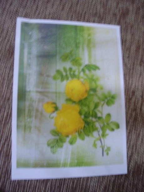 Nite na šitie,cievky,šablóny,látky bavlna,vatelín,panel,vlny - 12