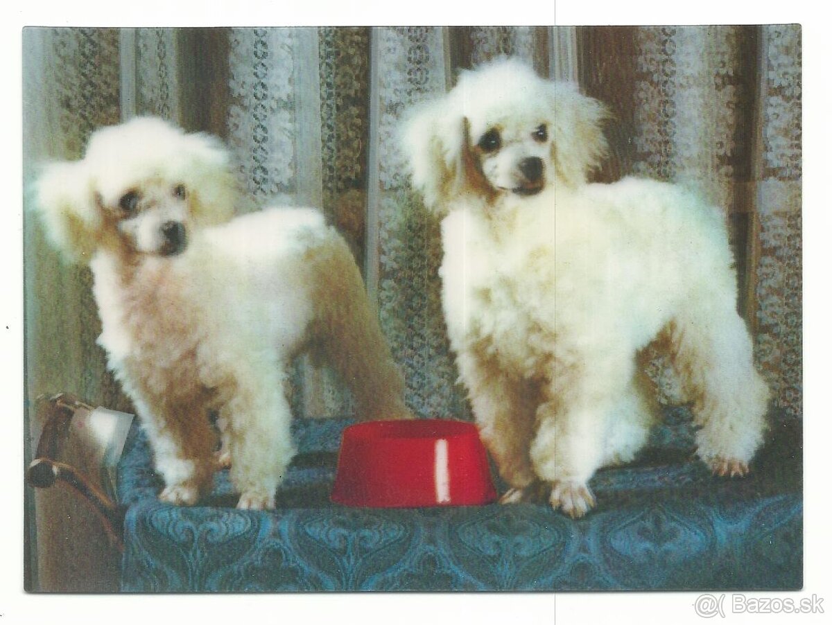 3D pohľadnice (1-20 ), čisté v top stave, 1 ks za 1 € - 12