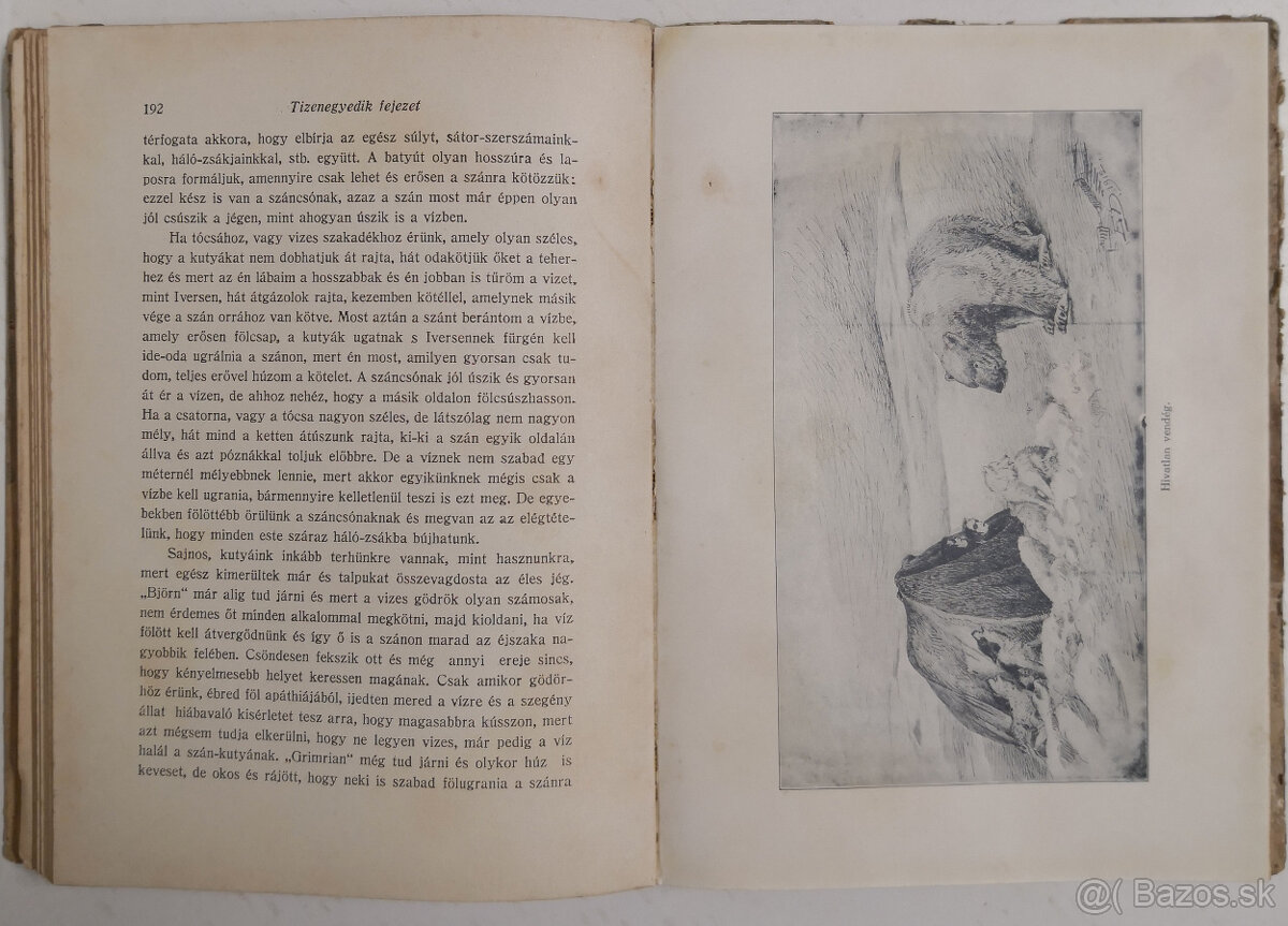 A sarkvidék remetéje 1916 - 12