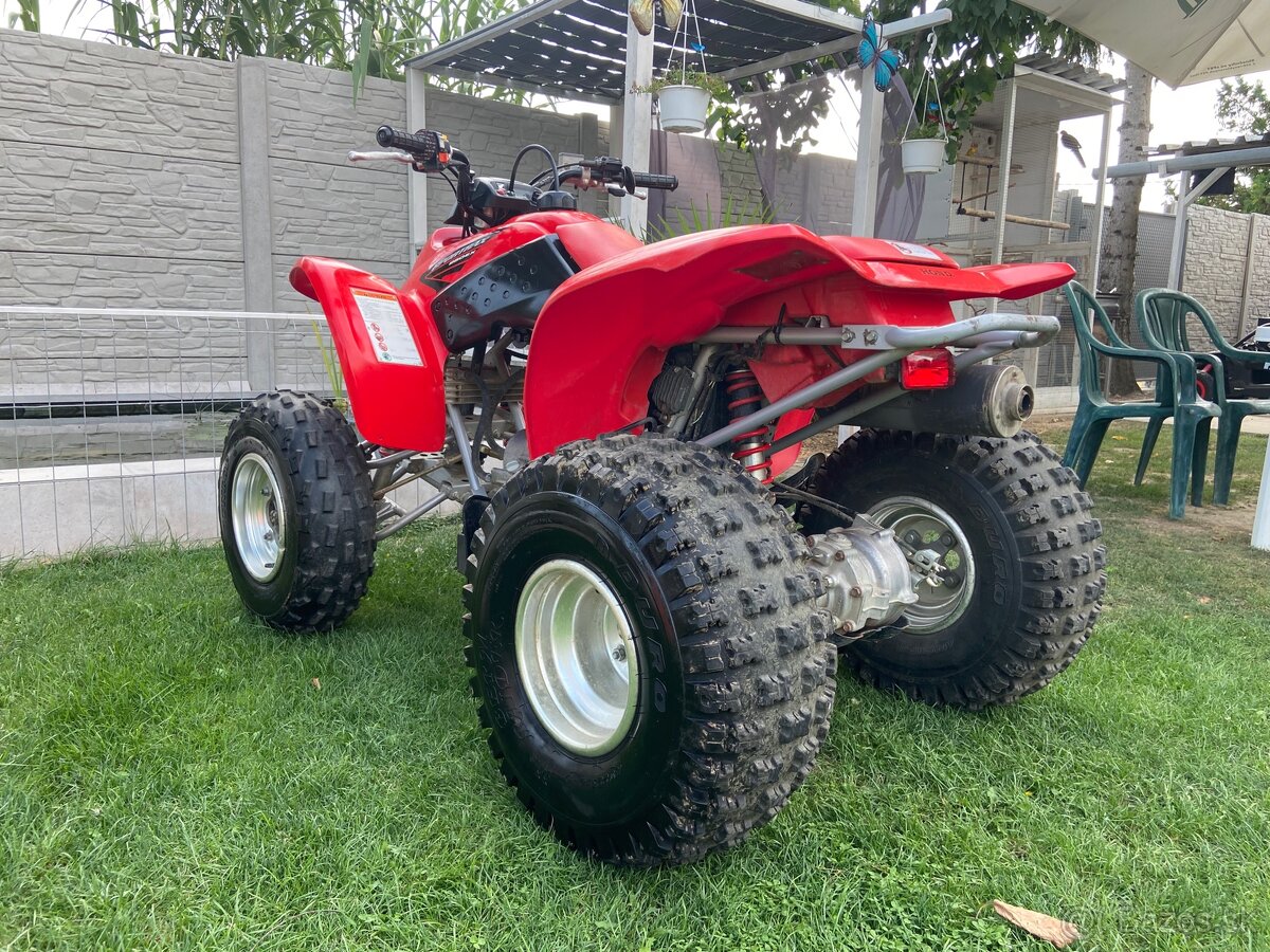 Honda TRX 250 - 12