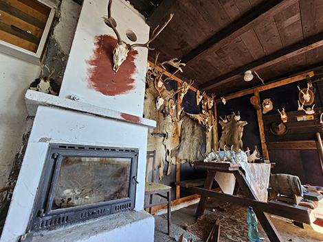 Záhrada so záhradnou chatou pri Bratislave - 12