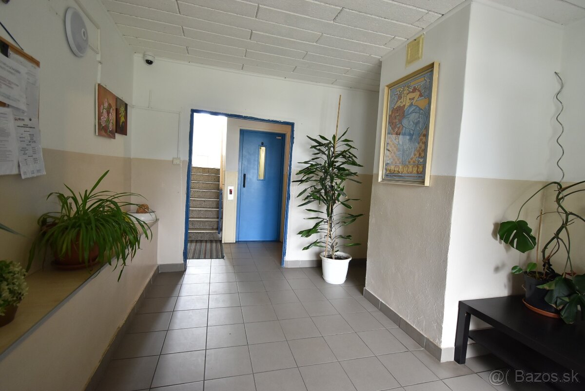 Malacky:Ponúkame priestranný 1 izb.byt Štúrova ul. - 12