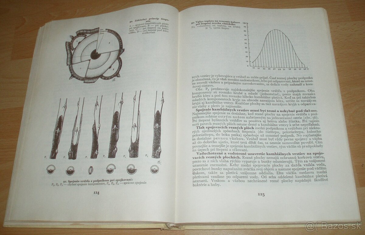 Štepenie, očkovanie a preštepovanie drevín - 12