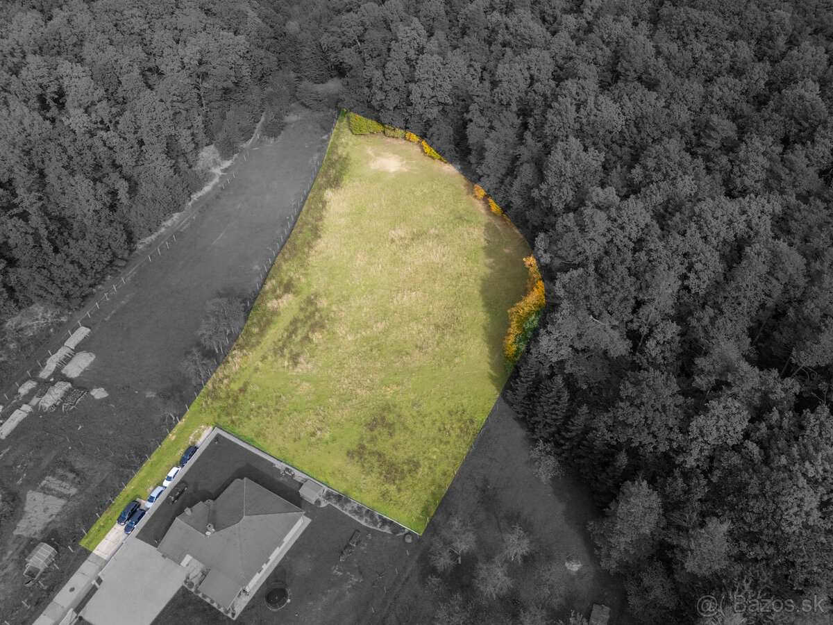 Lukratívna ponuka pozemku v obci Brezolupy 8040m2 - 12