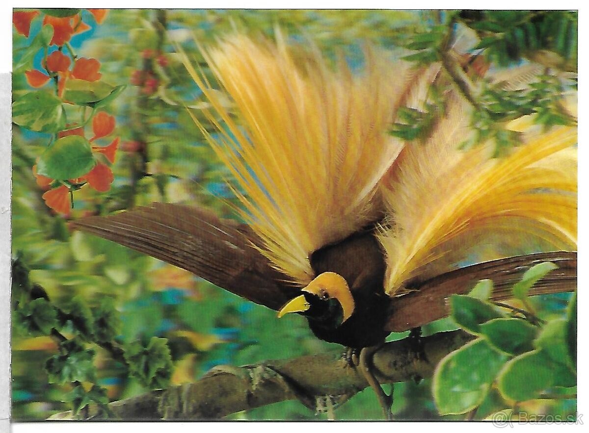 3D pohľadnice (21-40 ), čisté v top stave, 1 ks za 1 € - 12